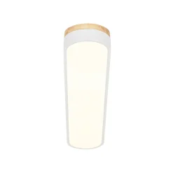Wood Accent Oval Dimmable LED Flush Mount Ceiling Light