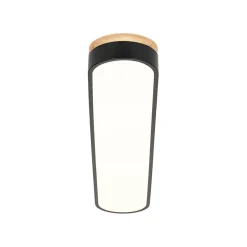 Wood Accent Oval Dimmable LED Flush Mount Ceiling Light